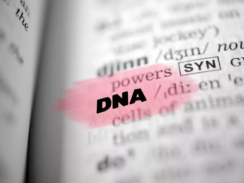 Choroba Refsuma – poznaj objawy, leczenie i rokowania