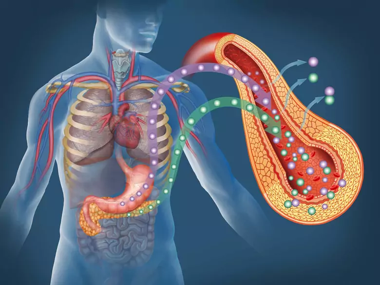 Nowa metoda diagnozy sztywności tętnic
