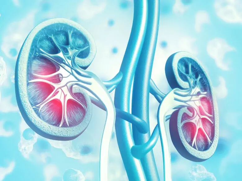Na zespół sercowo-nerkowo-metaboliczny (CRM) może cierpieć kilkanaście milionów Polaków